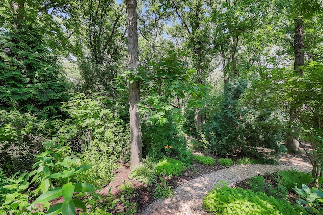 12525 S Pawnee Rd, Palos Park, IL 60464 - photo 29