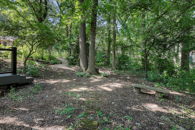 12525 S Pawnee Rd, Palos Park, IL 60464 - photo 31
