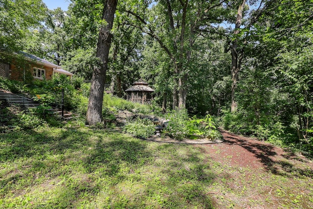 12525 S Pawnee Rd, Palos Park, IL 60464 - photo 36