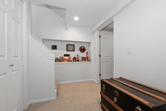 17533 Pecan Ln, Tinley Park, IL 60487 - photo 28