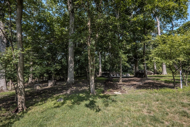 4N633 Fenimore Ln, Elburn, IL 60119 - photo 44