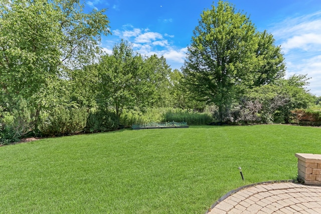 1313 Turnberry Ln, Mundelein, IL 60060 - photo 4