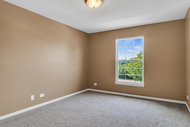 1313 Turnberry Ln, Mundelein, IL 60060 - photo 42