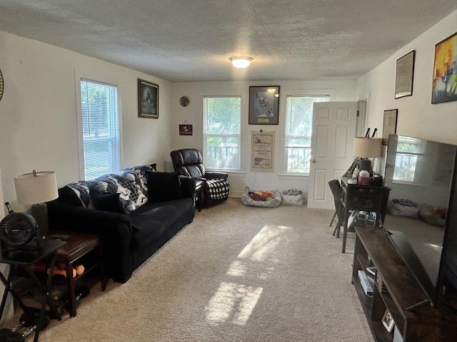 503 11th Ave, Mendota, IL 61342 - photo 11