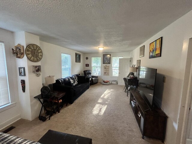 503 11th Ave, Mendota, IL 61342 - photo 10