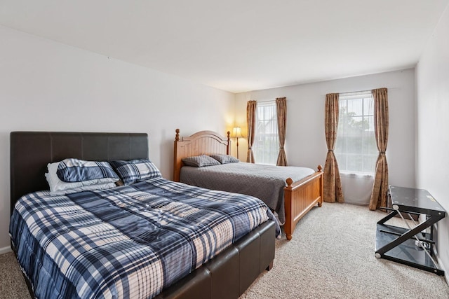 5046 Nelson Ct, Wadsworth, IL 60083 - photo 26