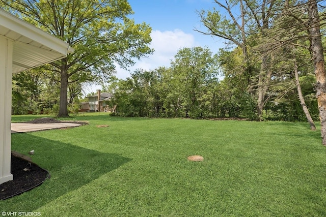 20534 Arcadian Dr, Olympia Fields, IL 60461 - photo 19