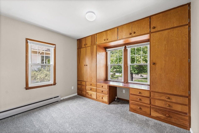 1005 W John St, Champaign, IL 61821 - photo 18