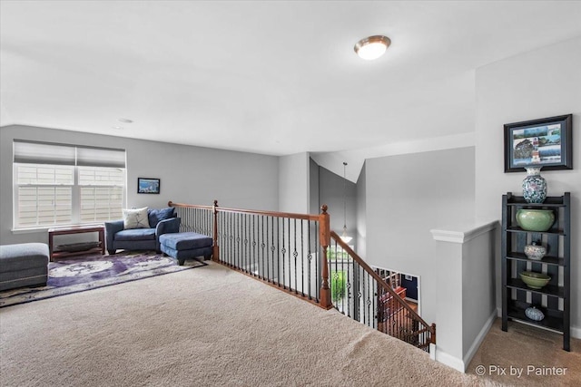 3879 Seigle Dr, Elgin, IL 60124 - photo 20