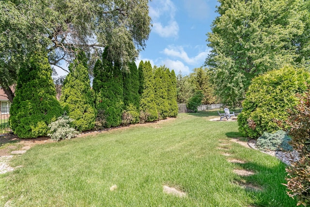 20408 S Grand Prairie Ln, Frankfort, IL 60423 - photo 41