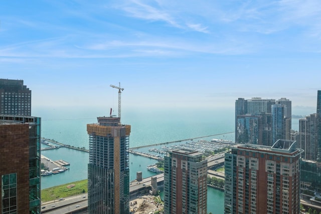 512 N Mcclurg Ct Unit 4806, Chicago, IL 60611 - photo 9