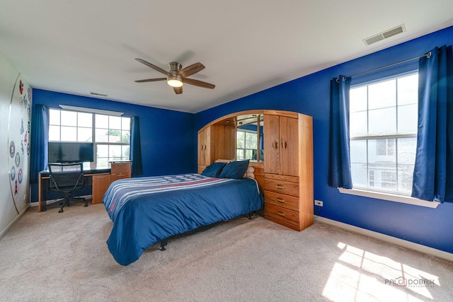 337 W Biros Ln, Round Lake, IL 60073 - photo 29