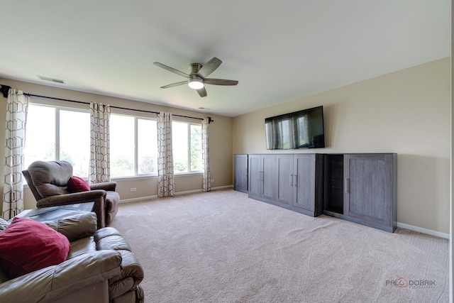 337 W Biros Ln, Round Lake, IL 60073 - photo 30