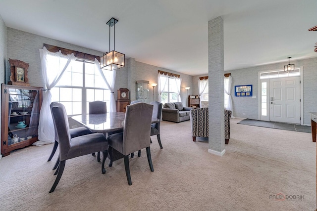 337 W Biros Ln, Round Lake, IL 60073 - photo 7
