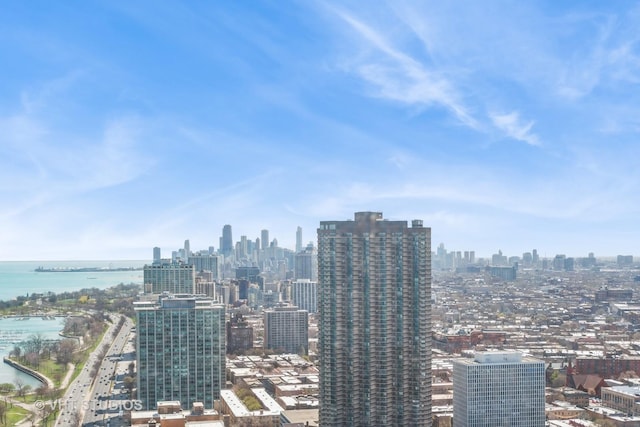 655 W Irving Park Rd Unit 4303, Chicago, IL 60613 - photo 12