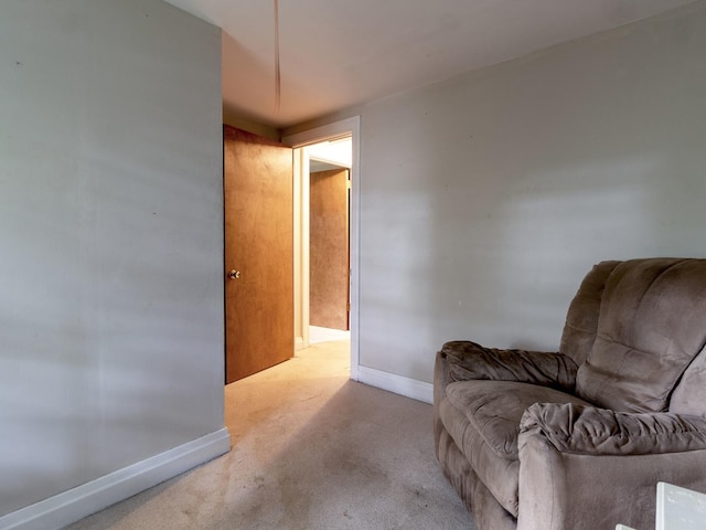 304 Nettle St, Morris, IL 60450 - photo 49