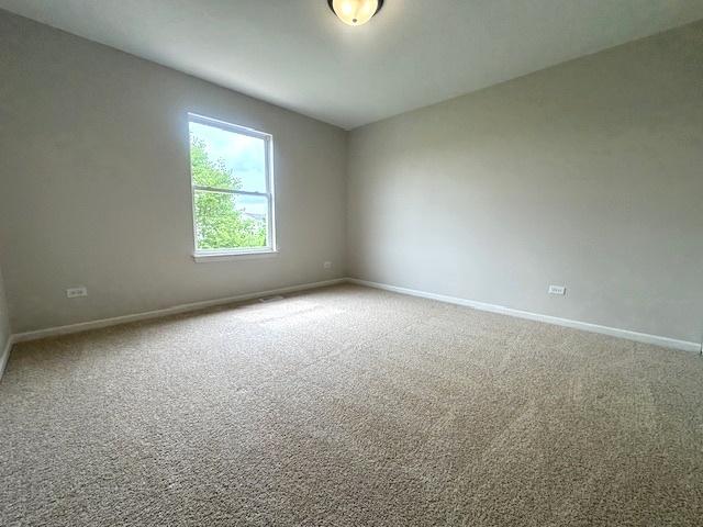 1600 Donegal Dr, Minooka, IL 60447 - photo 16