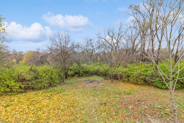 11 Vale Rd, West Chicago, IL 60185 - photo 15