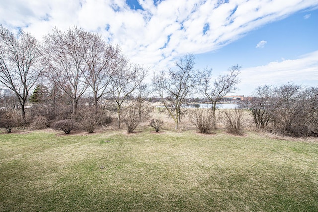 522 E Algonquin Rd Unit 207, Schaumburg, IL 60173 - photo 39