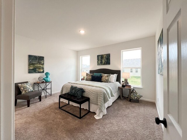 1006 Joel Ln, Genoa, IL 60135 - photo 15