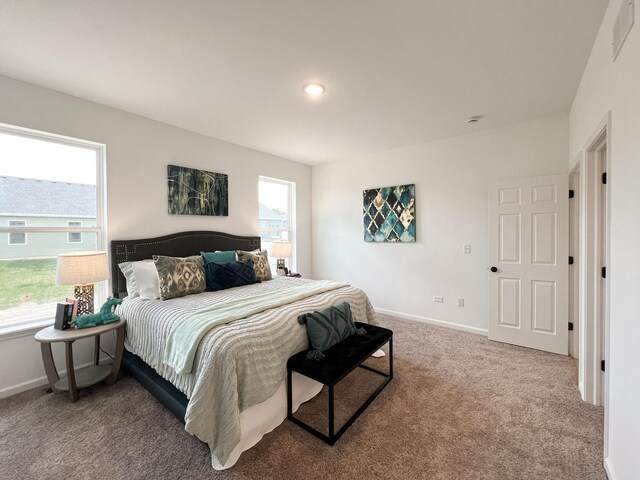 1006 Joel Ln, Genoa, IL 60135 - photo 16