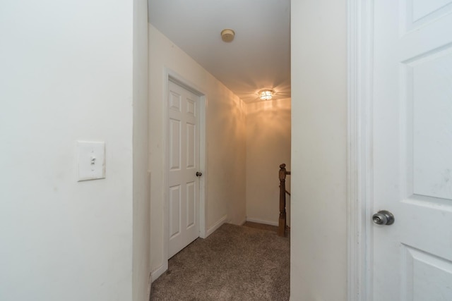 325 Windsor Ct Unit A, South Elgin, IL 60177 - photo 14
