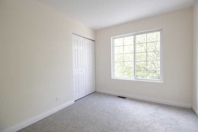 325 Windsor Ct Unit A, South Elgin, IL 60177 - photo 19