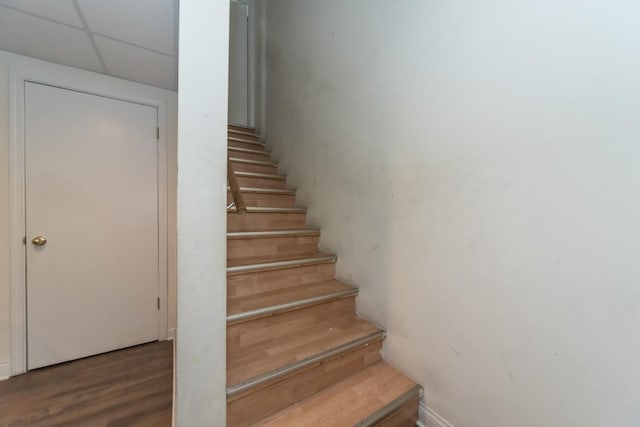 325 Windsor Ct Unit A, South Elgin, IL 60177 - photo 23