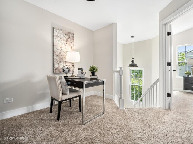 167 Mountain Laurel Ct, Romeoville, IL 60446 - photo 13