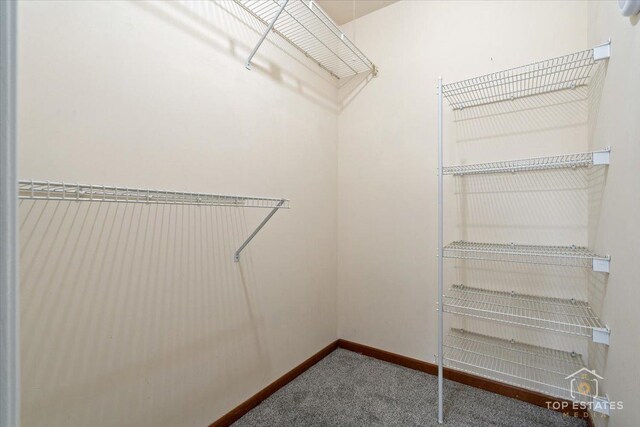 301 University Ln Unit A, Elk Grove Village, IL 60007 - photo 25