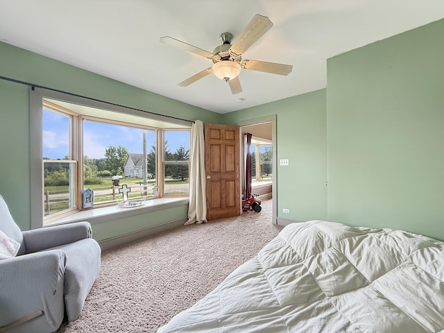 19908 Bockman Rd, Marengo, IL 60152 - photo 20