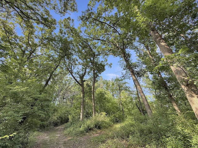 19908 Bockman Rd, Marengo, IL 60152 - photo 25