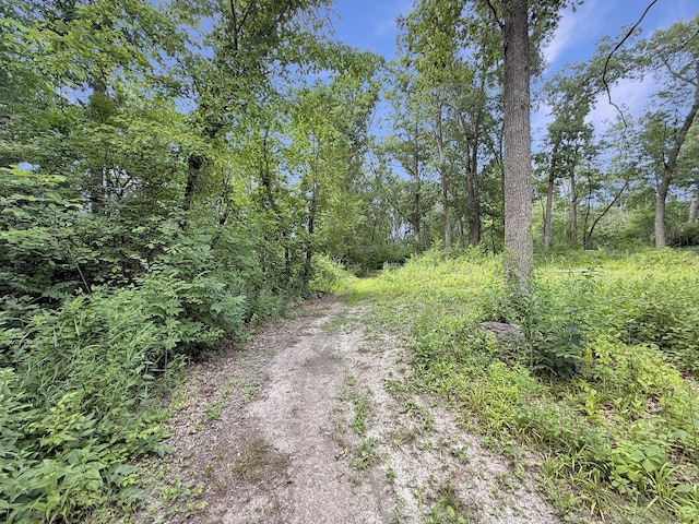 19908 Bockman Rd, Marengo, IL 60152 - photo 26