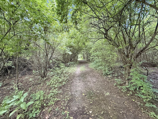 19908 Bockman Rd, Marengo, IL 60152 - photo 29