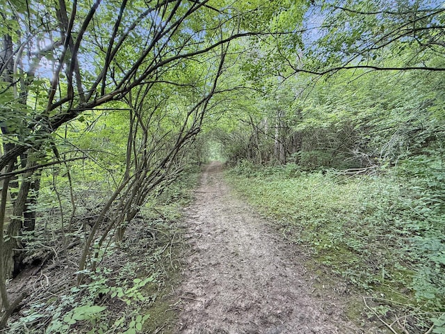 19908 Bockman Rd, Marengo, IL 60152 - photo 30