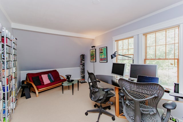 1608 Davis St, Evanston, IL 60201 - photo 16