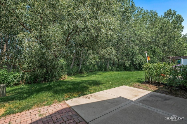 8513 Sawyer Ct, Joliet, IL 60431 - photo 15