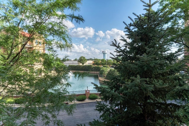 1210 N Foxdale Dr Unit 105, Addison, IL 60101 - photo 25