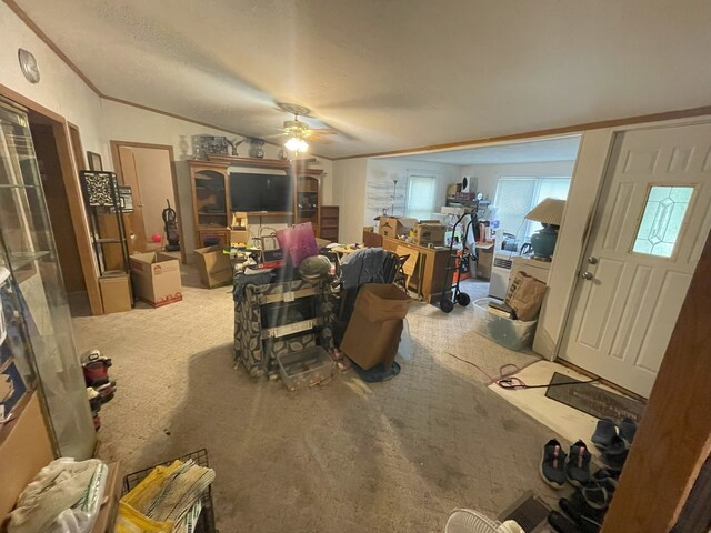 209 E N St, Gardner, IL 60424 - photo 11