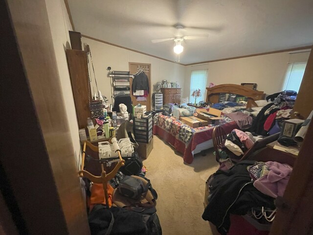 209 E N St, Gardner, IL 60424 - photo 14