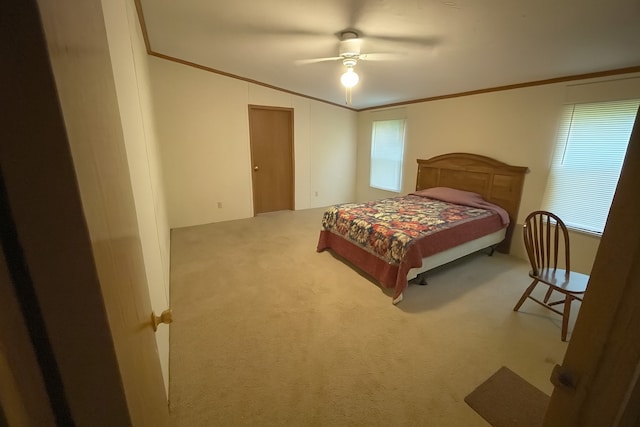 209 E N St, Gardner, IL 60424 - photo 15