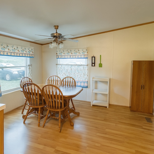 209 E N St, Gardner, IL 60424 - photo 7