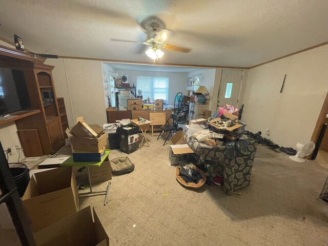 209 E N St, Gardner, IL 60424 - photo 10
