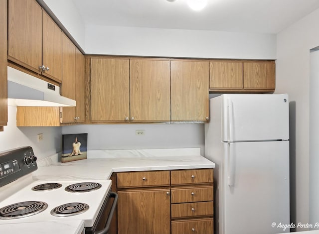 33720 N Royal Oak Ln Unit 206, Grayslake, IL 60030 - photo 3