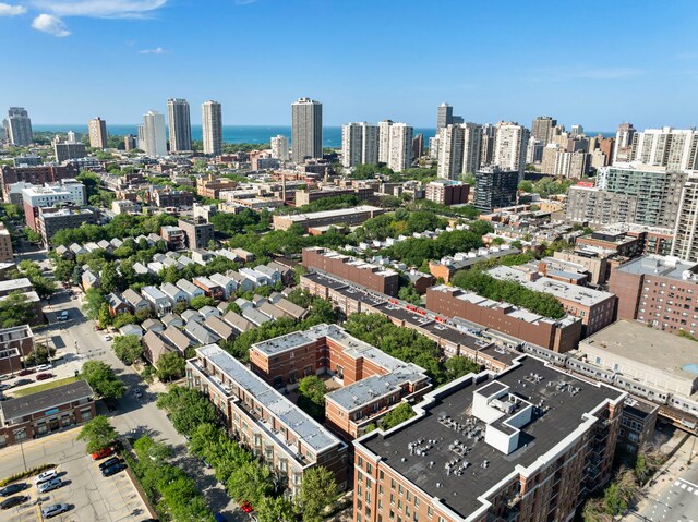 1255 N Orleans Ct Unit 1104, Chicago, IL 60610 - photo 19