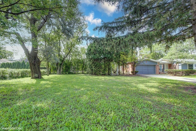 2411 Fontana Dr, Glenview, IL 60025 - photo 33