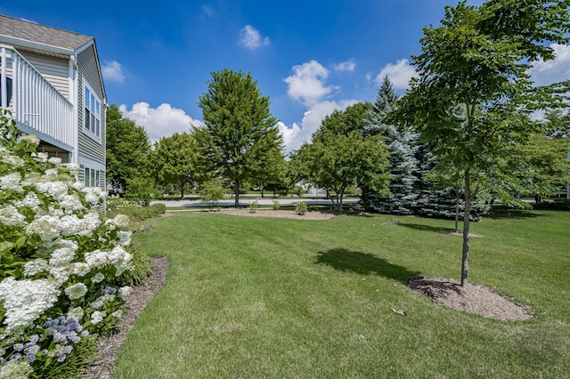 2604 Sheehan Ct Unit 204, Naperville, IL 60564 - photo 45