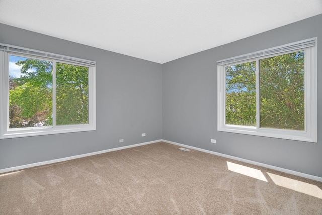 22453 Latonia Ln, Richton Park, IL 60471 - photo 17