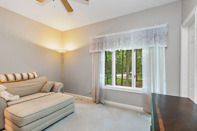 8N644 Wood Bridge Ln, Elgin, IL 60124 - photo 24