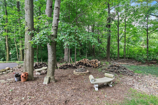 8N644 Wood Bridge Ln, Elgin, IL 60124 - photo 38